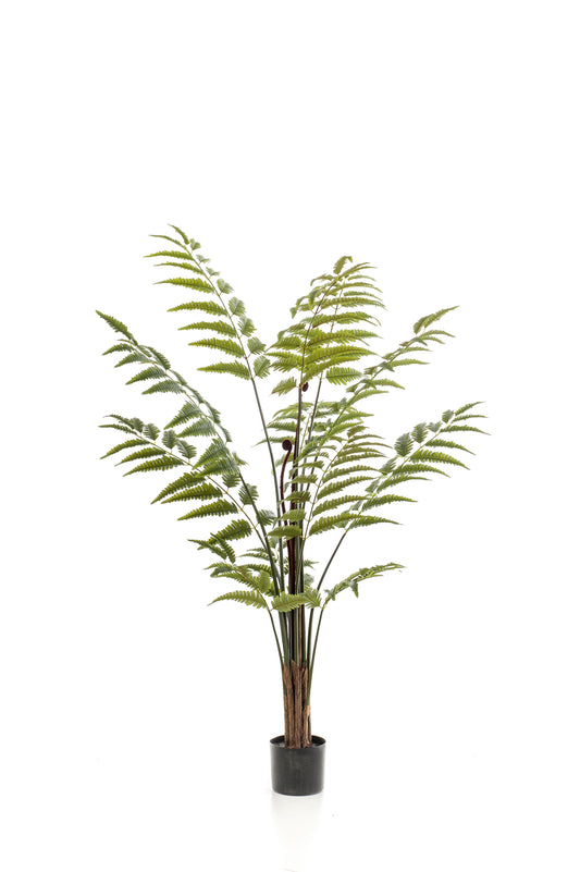 Kunstplant - Rumohra Adiantiformis - Ledervaren - 150 cm - Forest Plants