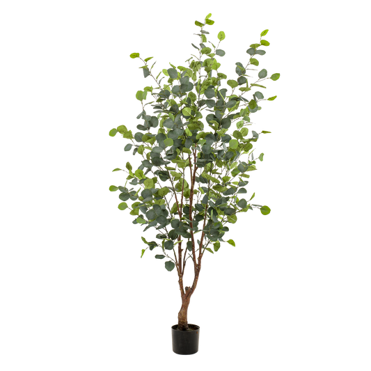 Kunstplant - Eucalyptus - Blauwe Gomboom - 140 cm - Forest Plants