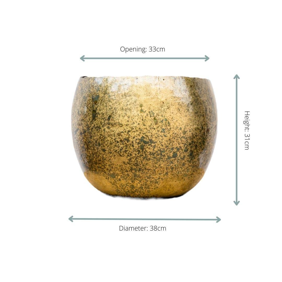 Ellen Brass - 25x19 - Forestbloom