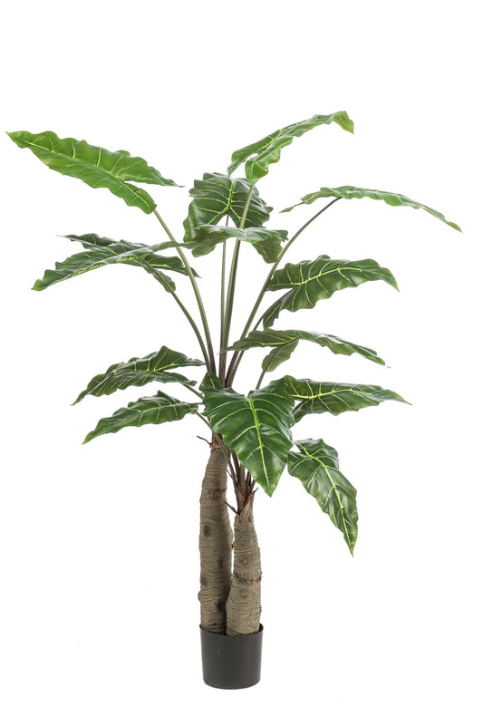 Kunstplant - Alocasia - Olifantsoor - 150 cm - Forestbloom