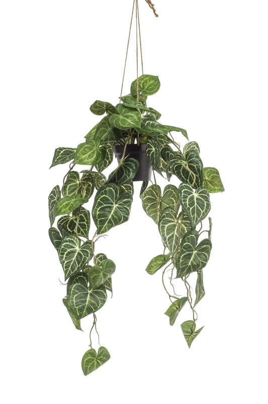 Kunstplant - Anthurium Clarinervium - Aderplant - 80 cm - Forestbloom