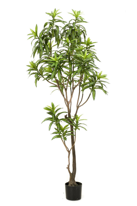 Kunstplant - Dracaena - Drakenboom - 190 cm - Forestbloom