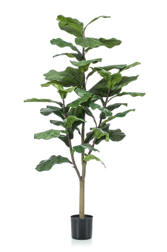 Kunstplant - Ficus Lyrata - Tabaksplant - 120 cm - Forestbloom