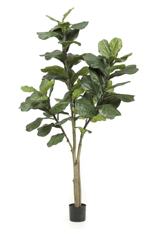 Kunstplant - Ficus Lyrata - Tabaksplant - 180 cm - Forestbloom