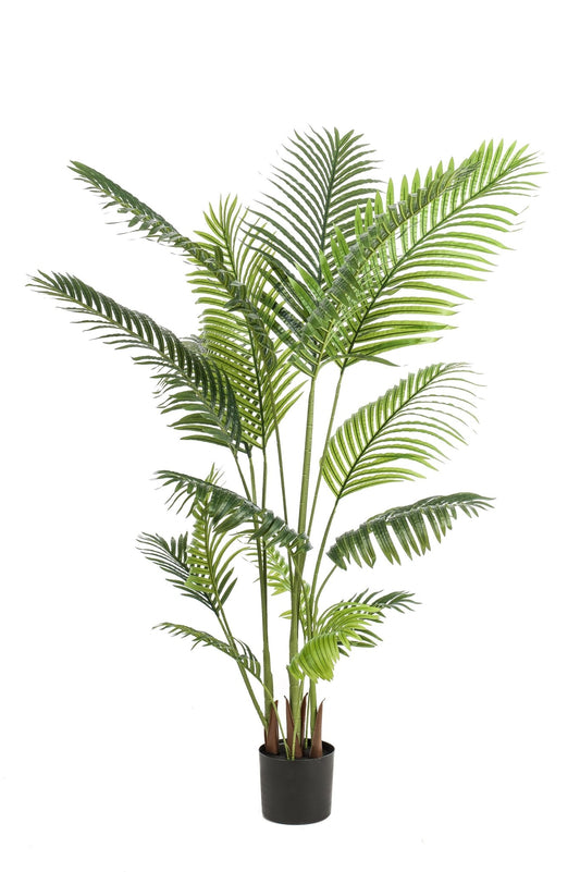 Kunstplant - Howea Forsteriana - 160 cm - Forestbloom