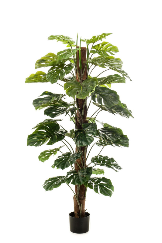 Kunstplant - Monstera Deliciosa - 150 cm - Forestbloom