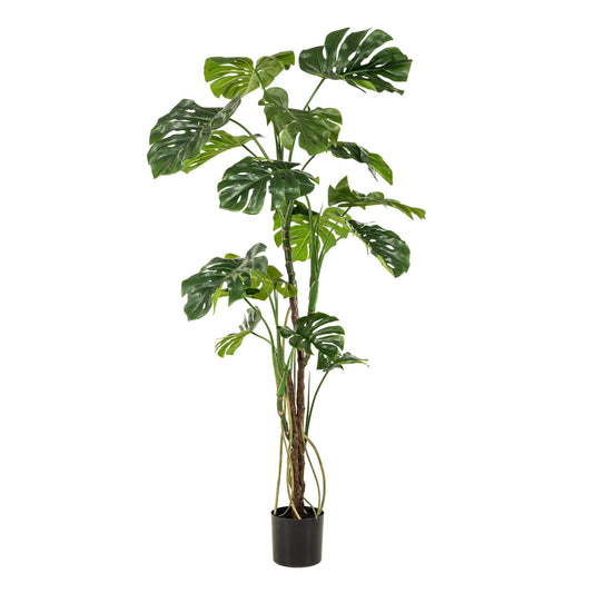 Kunstplant - Monstera - Gatenplant - 180 cm - Forestbloom