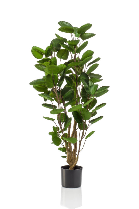 Kunstplant - Polyscias - Aralia - 105 cm - Forestbloom