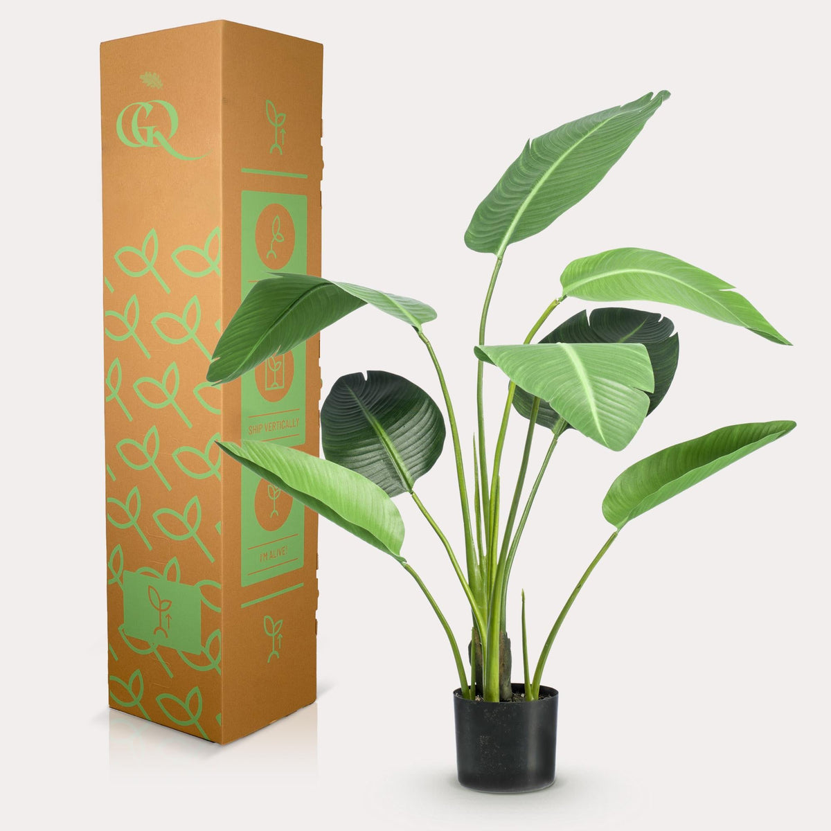 Kunstplant - Strelitzia Nicolai - Paradijsvogelbloem - 120 cm - Forestbloom