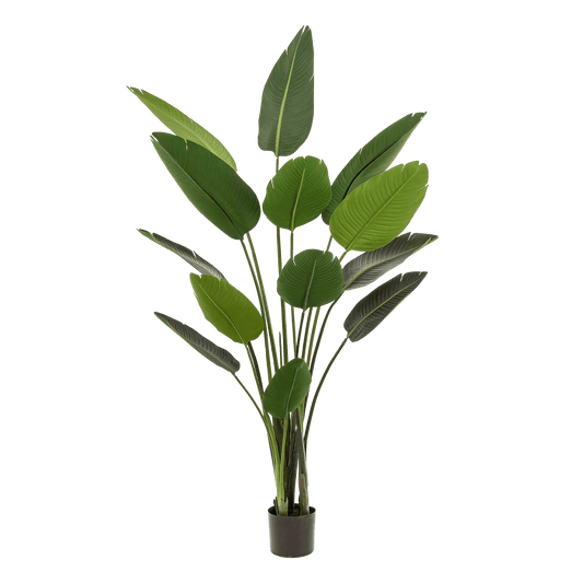 Kunstplant - Strelitzia Nicolai - Paradijsvogelbloem - 190 cm - Forestbloom