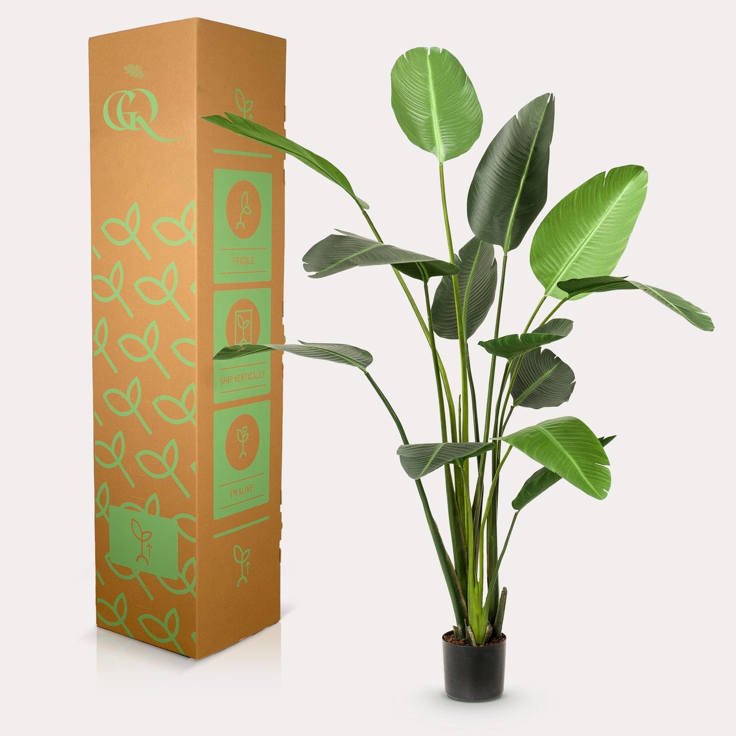 Kunstplant - Strelitzia Nicolai - Paradijsvogelbloem - 230 cm - Forestbloom
