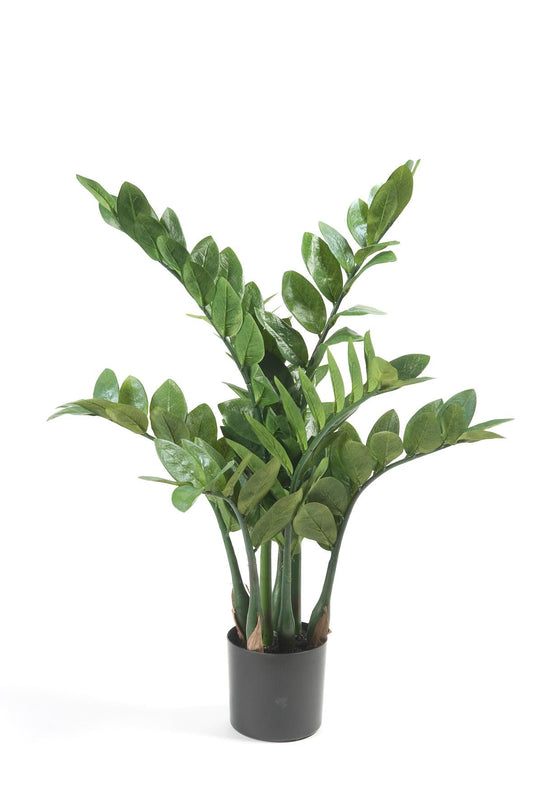 Kunstplant - Zamioculcas - Kamerpalm - 70 cm - Forestbloom