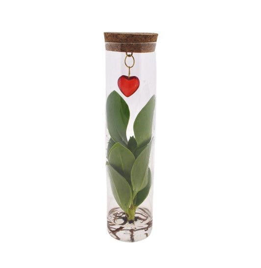 Mix In Tube Glas + Jewel (hartje) - Forestbloom