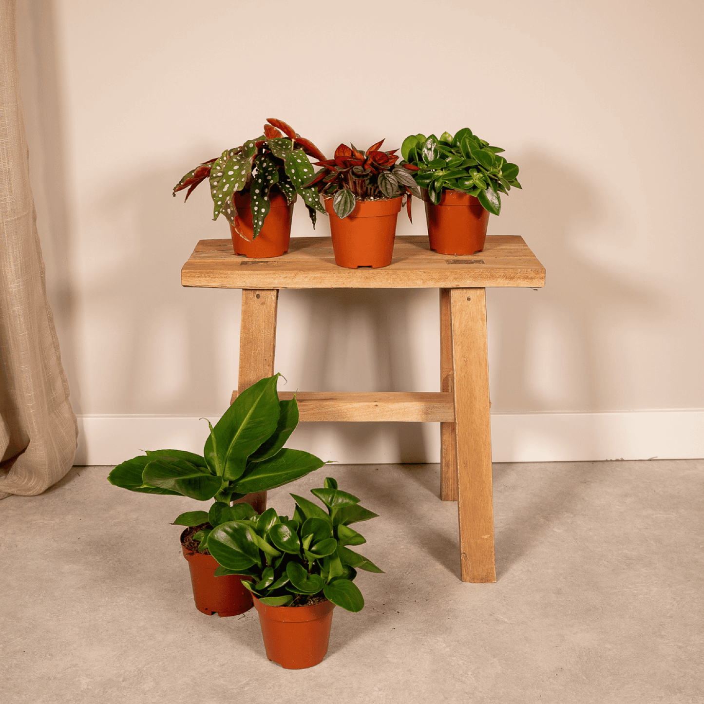 Verrassingsbox set van 5 - Forestbloom