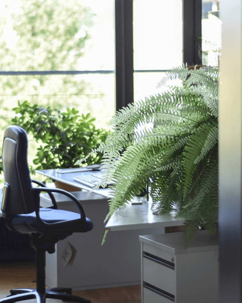 Duurzame Accessoires Voor Een Compleet Interieur (1).png__PID:50788fd5-7064-4d36-8fa4-dfcdd52d99b7