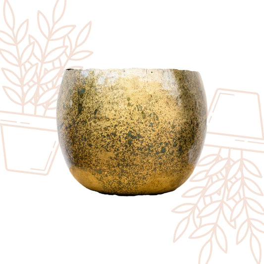 Ellen Brass - 38x31