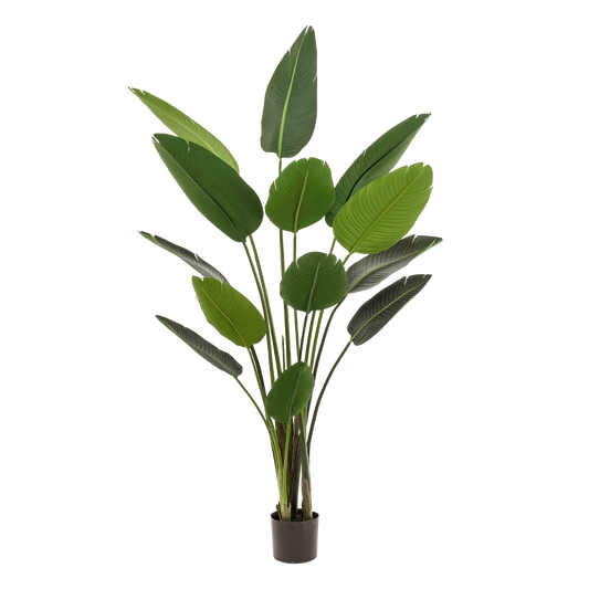 Kunstplant - Strelitzia Nicolai - Paradijsvogelbloem - 190 cm - Forest Plants