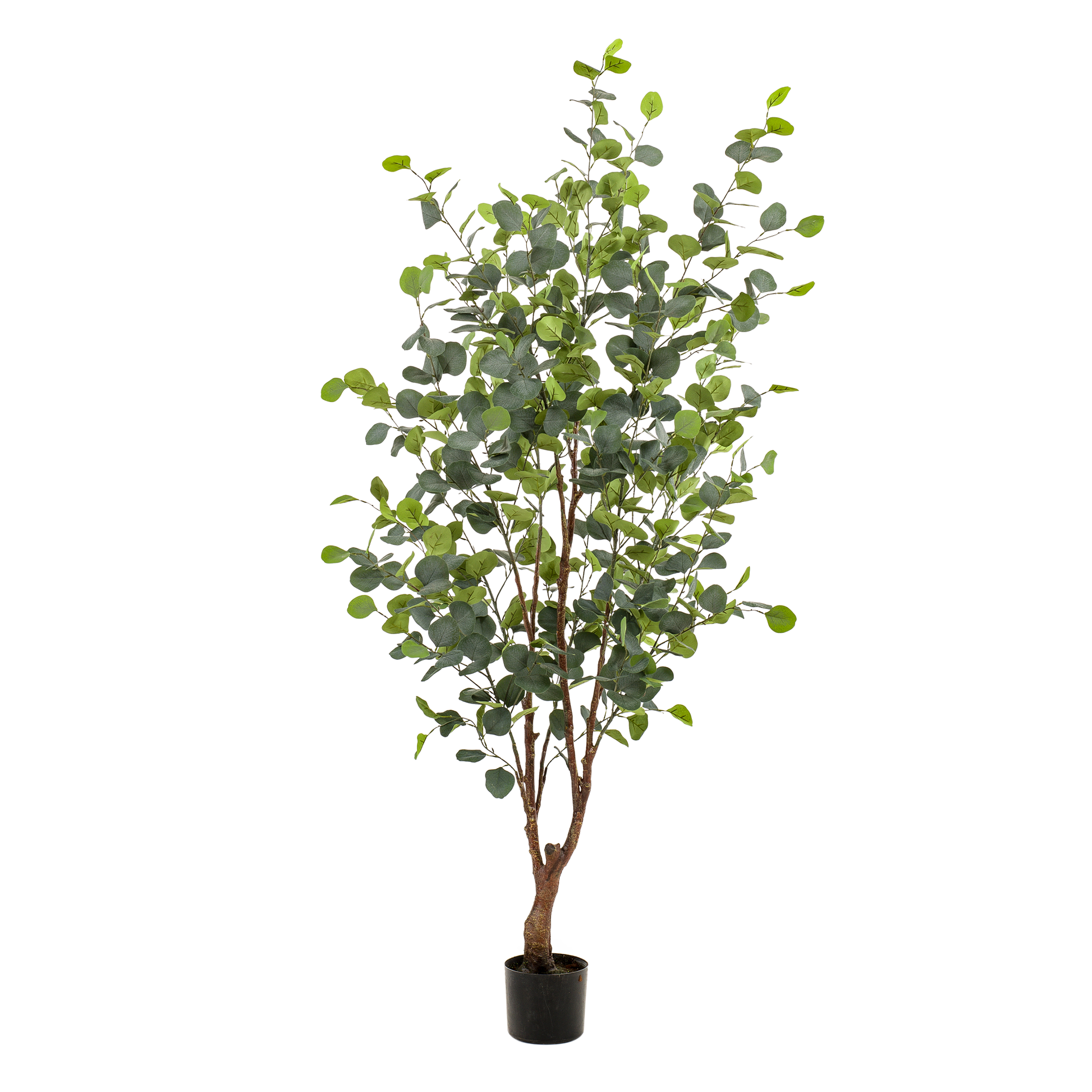 Kunstplant - Eucalyptus - Blauwe Gomboom  - 140 cm - Forest Plants