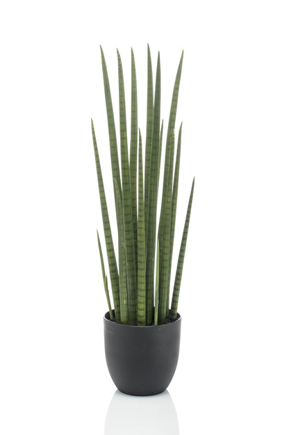Kunstplant - Sanseveria Cylindrica - Vrouwentong - 70 cm - Forest Plants