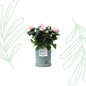 Lichtroze rozen in P&PURE Lauren pot