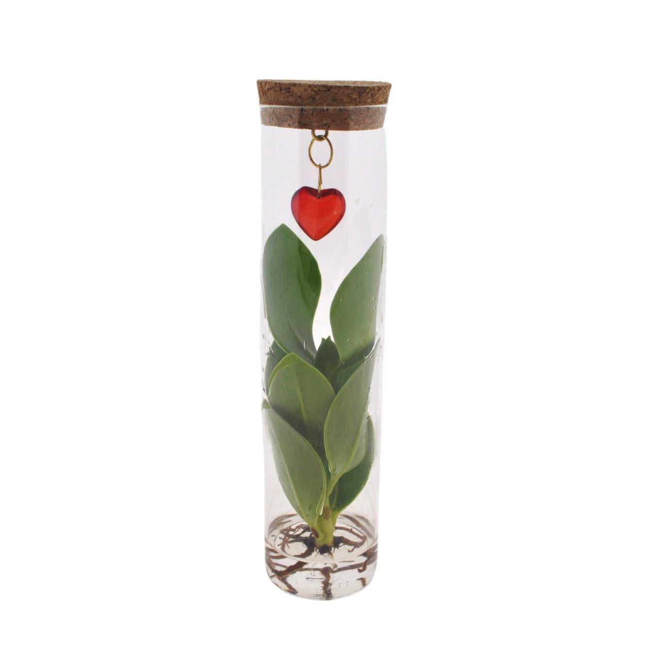 Mix In Tube Glass + Jewel (heart)