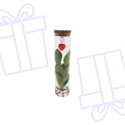 Mix In Tube Glass + Jewel (heart)