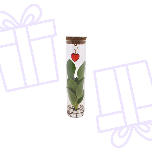Mix In Tube Glas + Jewel (hartje)