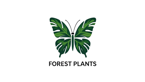 Forest Plants