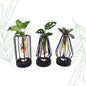 Plant Mix in Turin Glass + LED - set of 3