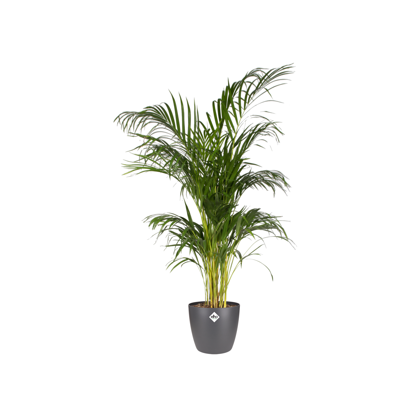 Pot elho Brussels Round Anthracite D20 x H19