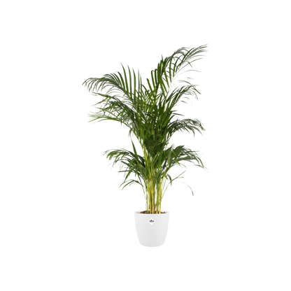 Pot elho Brussels Round White D30 x H27