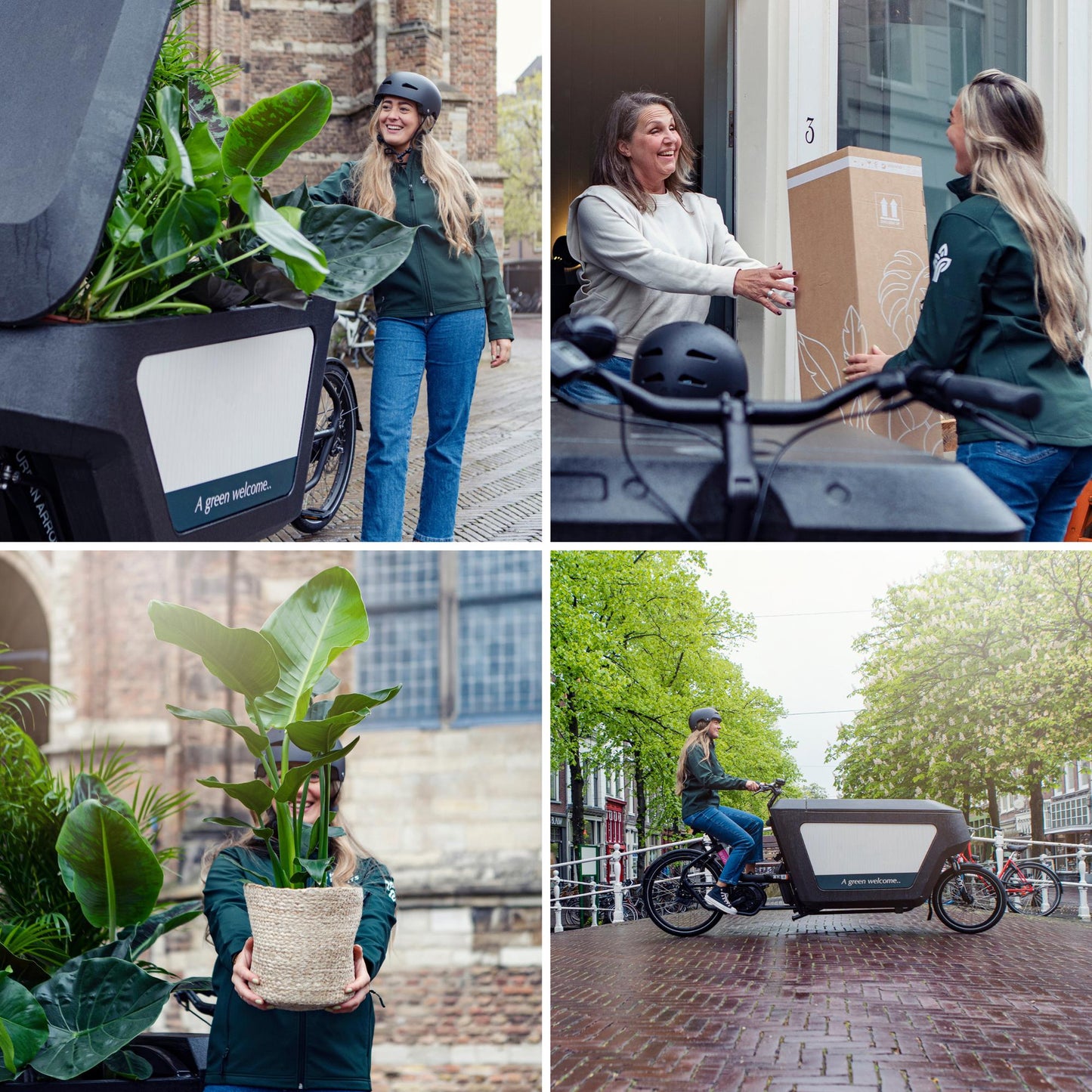 Buitenbeentjesbox set van 8 - Forestbloom
