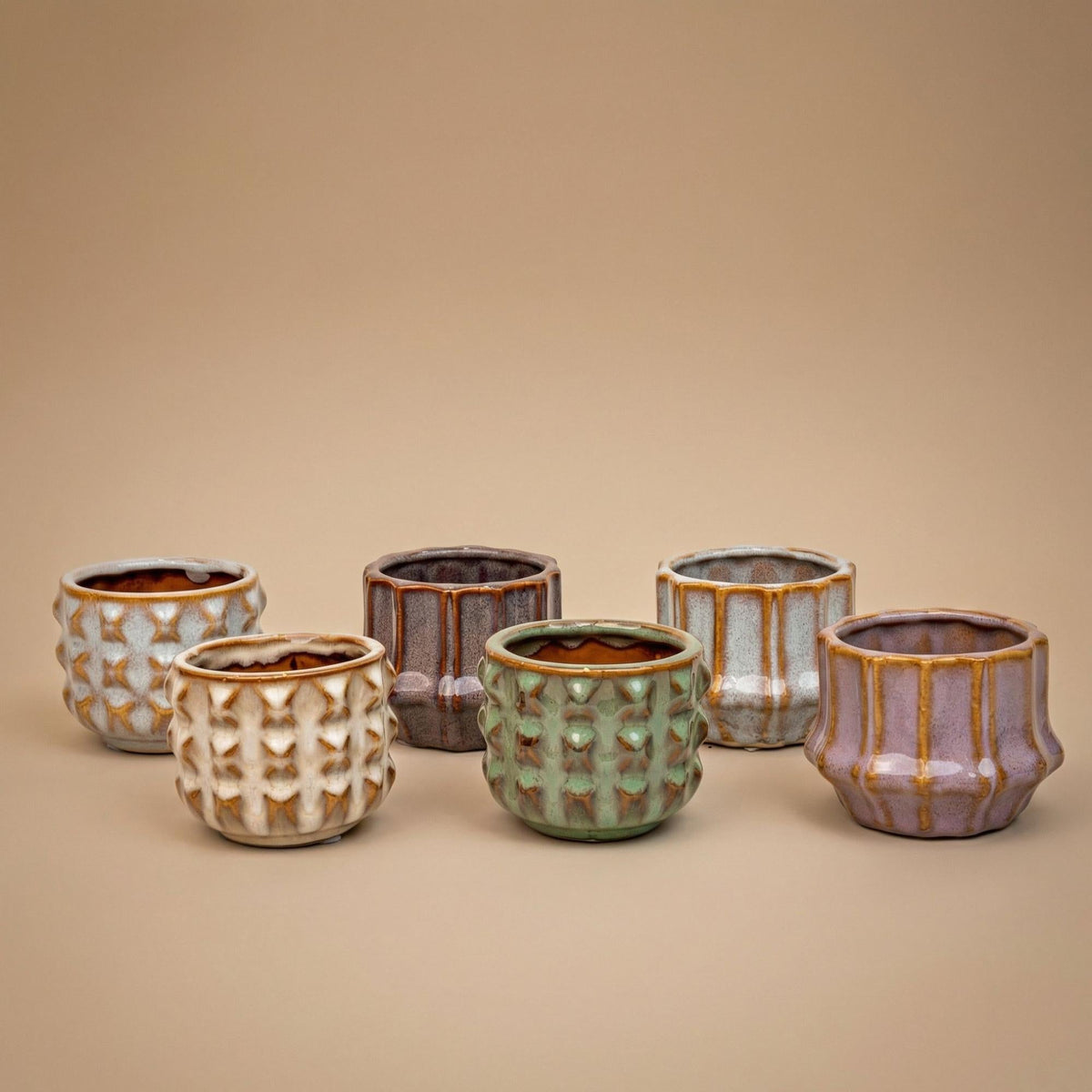Cactus set van 6 met pot set San Juan - Forestbloom