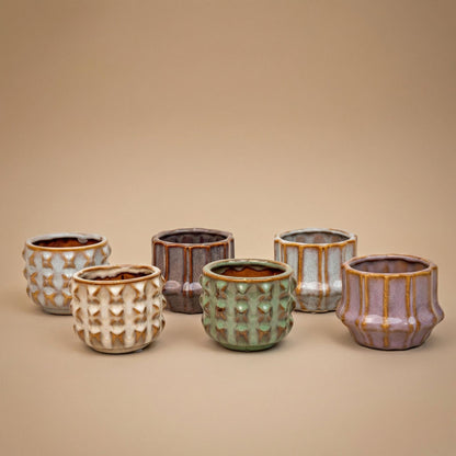 Cactus set van 6 met pot set San Juan - Forestbloom