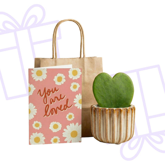 Cadeauset van hartjesplant, pot, wenskaart & geschenktasje - Forestbloom