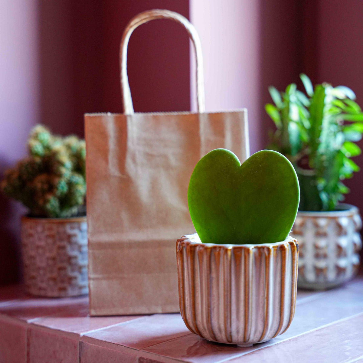Cadeauset van hartjesplant, pot, wenskaart & geschenktasje - Forestbloom