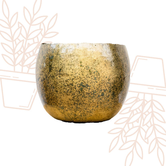 Ellen Brass - 38x31 - Forestbloom