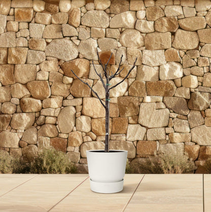 Ficus Carica op stam - 100 cm - Forestbloom