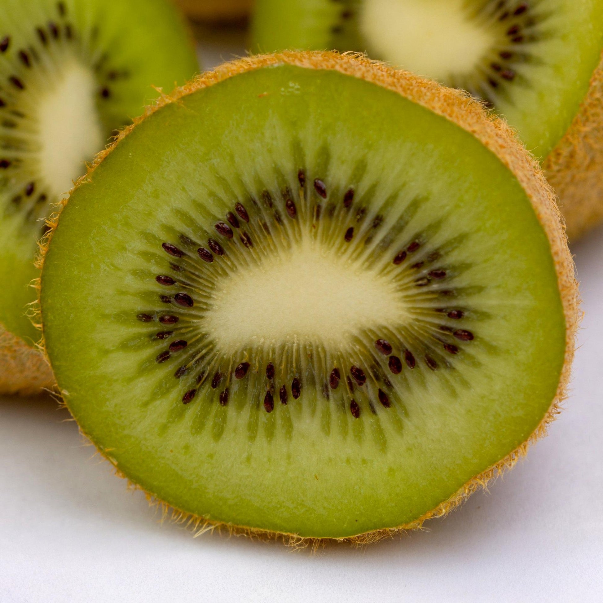 Groene Kiwi - Actinidia deliciosa Jenny - Groene Vrucht - 2 planten - Forestbloom
