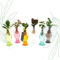 Kamerplanten set van 6 in Venice Glas - Forestbloom