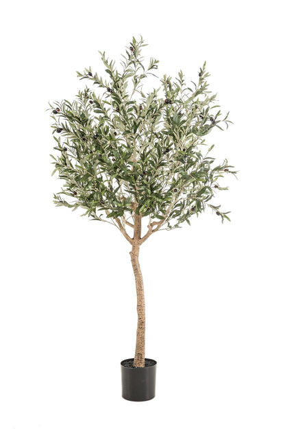 Kunst Olijfboom - Olea europaea - 180 cm - Forestbloom