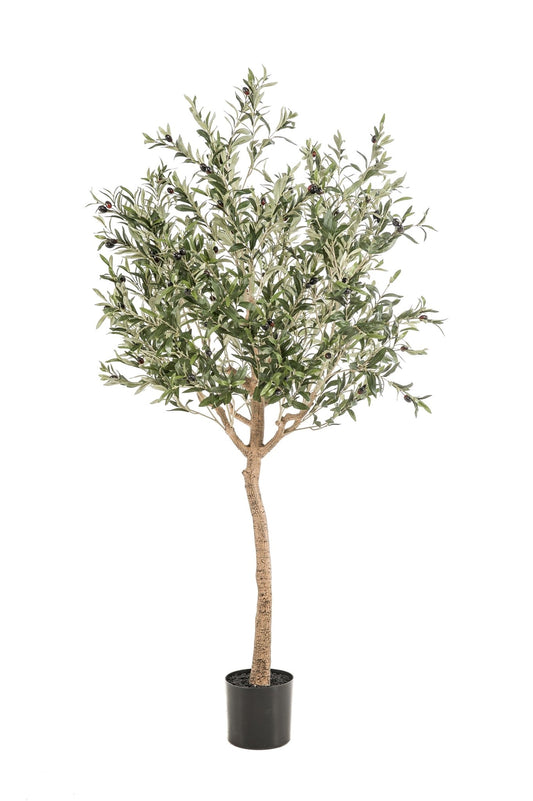Kunst Olijfboom - Olea europaea - 180 cm - Forestbloom