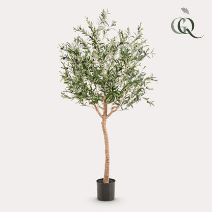 Kunst Olijfboom - Olea europaea - 180 cm - Forestbloom