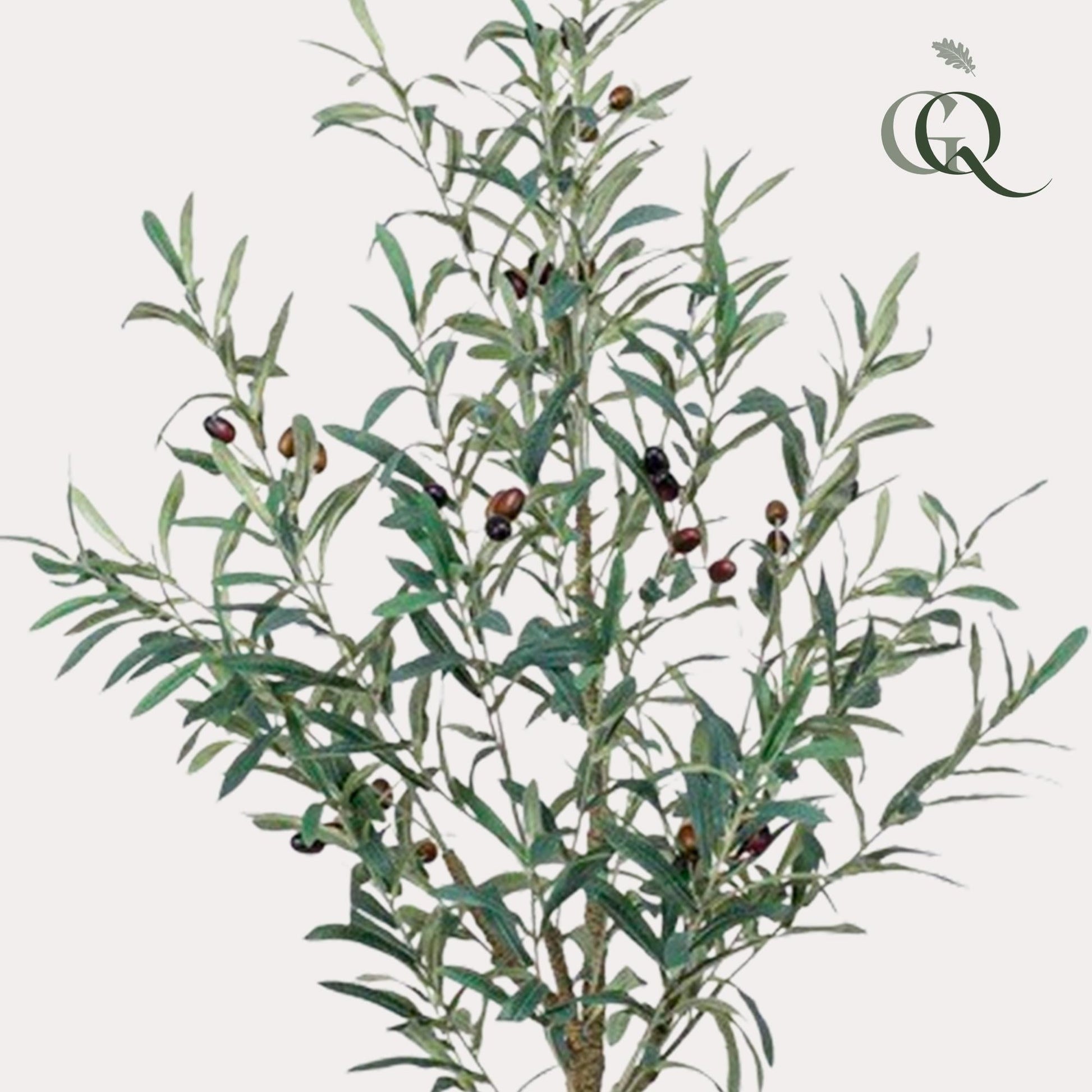 Kunst Olijfboom - Olea europaea - Olijfboom - 115 cm - Forestbloom