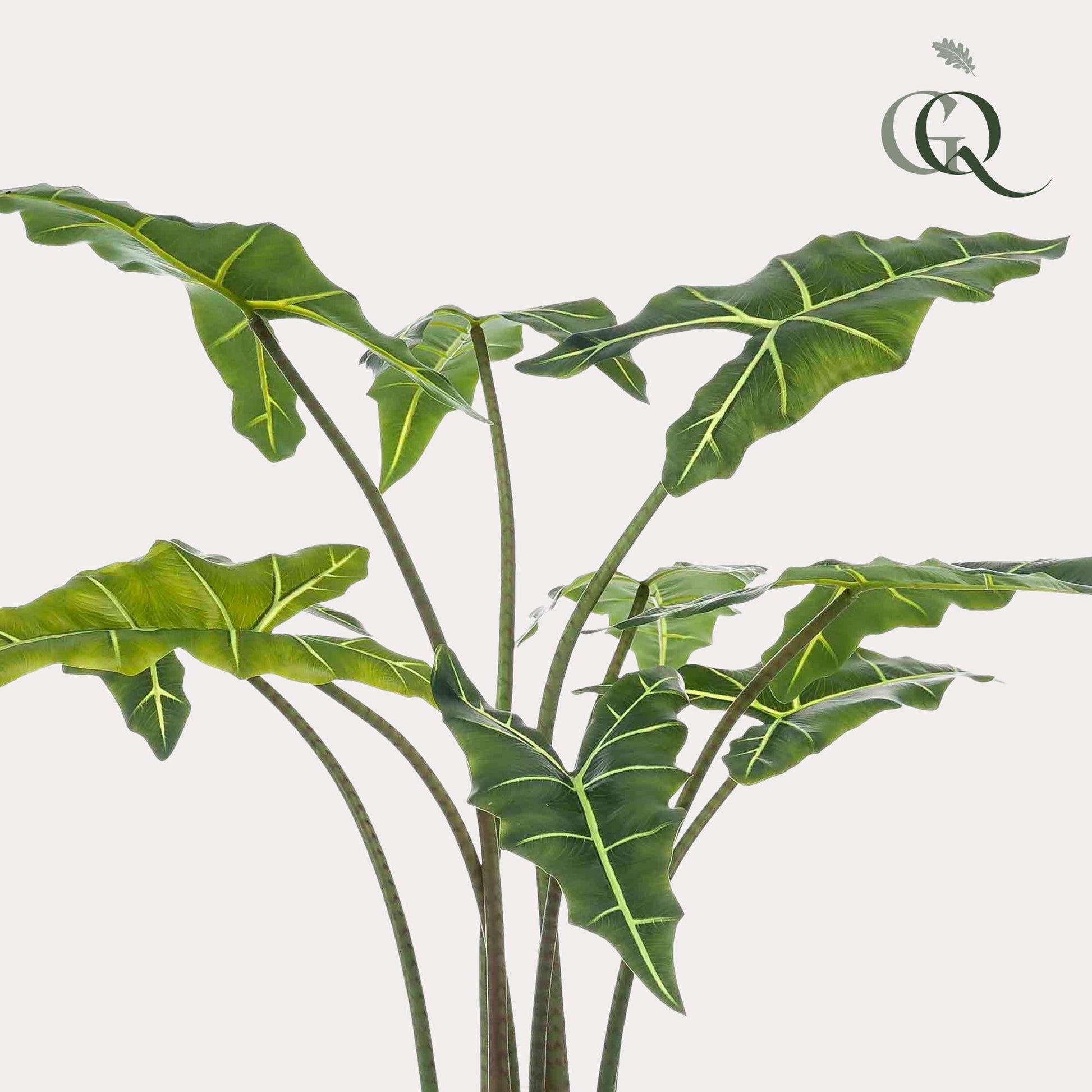 Kunstplant - Alocasia Frydek - Olifantsoor - 120 cm - Forestbloom