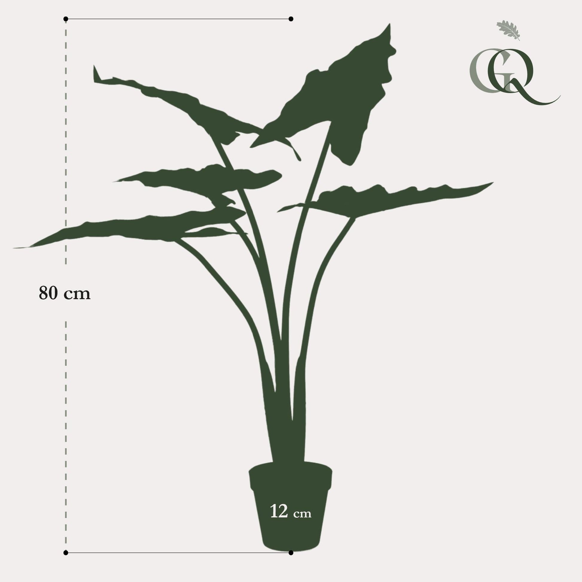 Kunstplant - Alocasia Frydek - Olifantsoor - 80 cm - Forestbloom