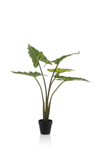 Kunstplant - Alocasia Frydek - Olifantsoor - 80 cm - Forestbloom