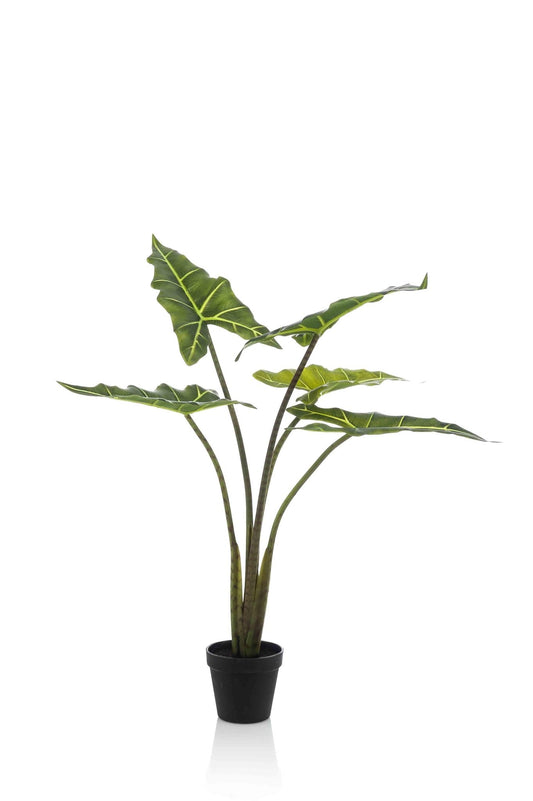 Kunstplant - Alocasia Frydek - Olifantsoor - 80 cm - Forestbloom