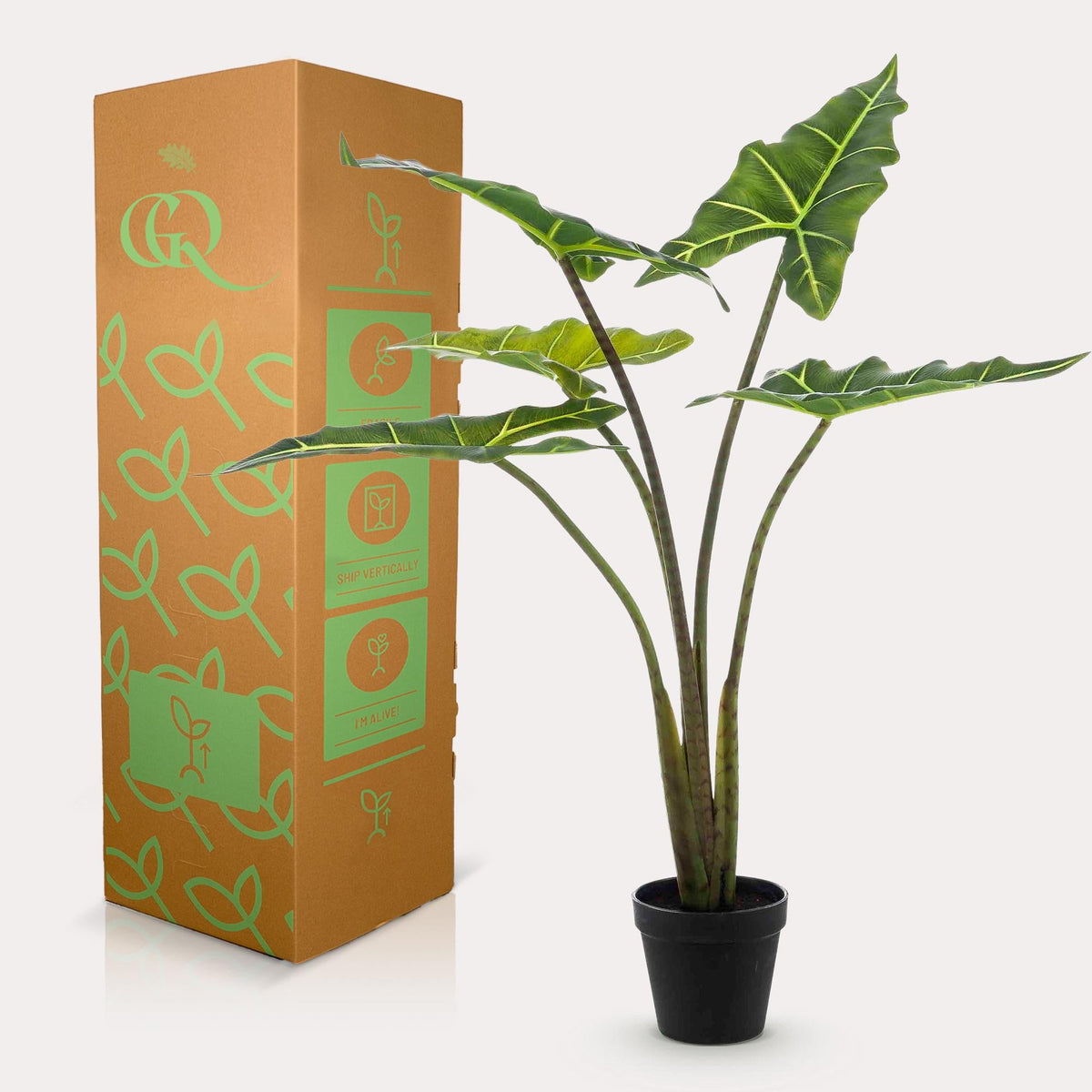 Kunstplant - Alocasia Frydek - Olifantsoor - 80 cm - Forestbloom