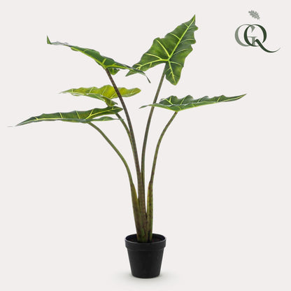 Kunstplant - Alocasia Frydek - Olifantsoor - 80 cm - Forestbloom